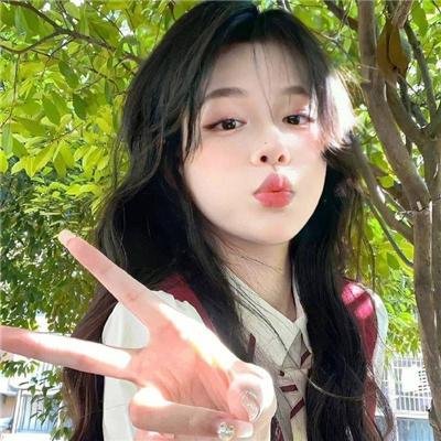 杨六郎智破连环计