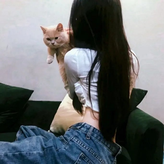 完美的救赎